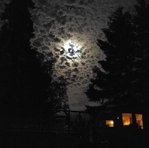 Meet your Posher, Vincent